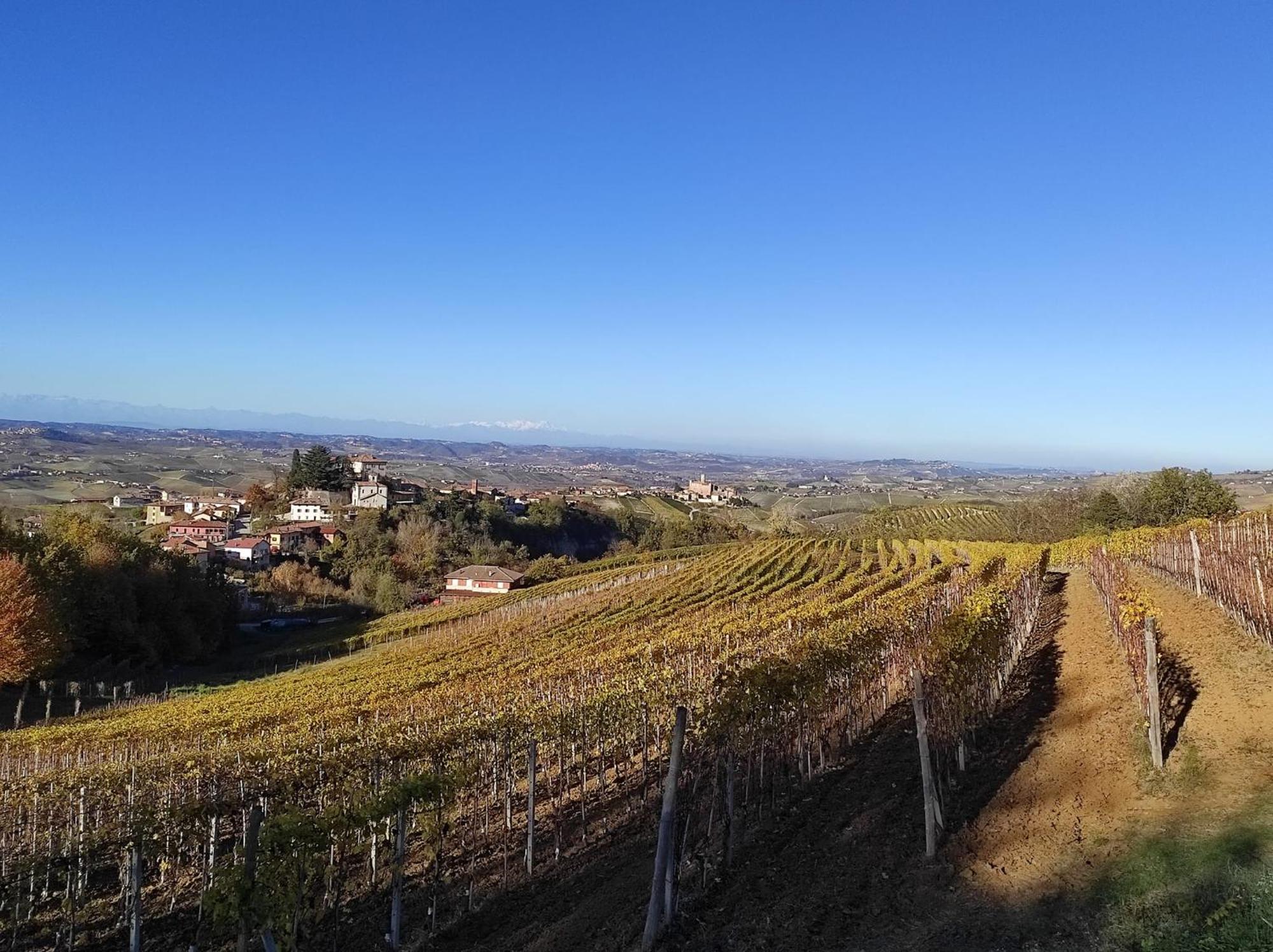 Agriturismo Bianconiglio Monforte dʼAlba المظهر الخارجي الصورة